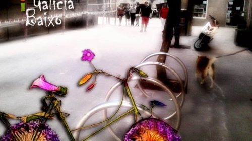 Tarde de bicis e flores – Pontevedra