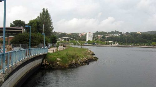 Melloras no parque Rosalía de Castro. Pontevedra