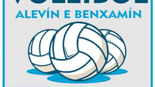 Campionato Galego de Voleibol Alevín e Benxamín. Pontevedra